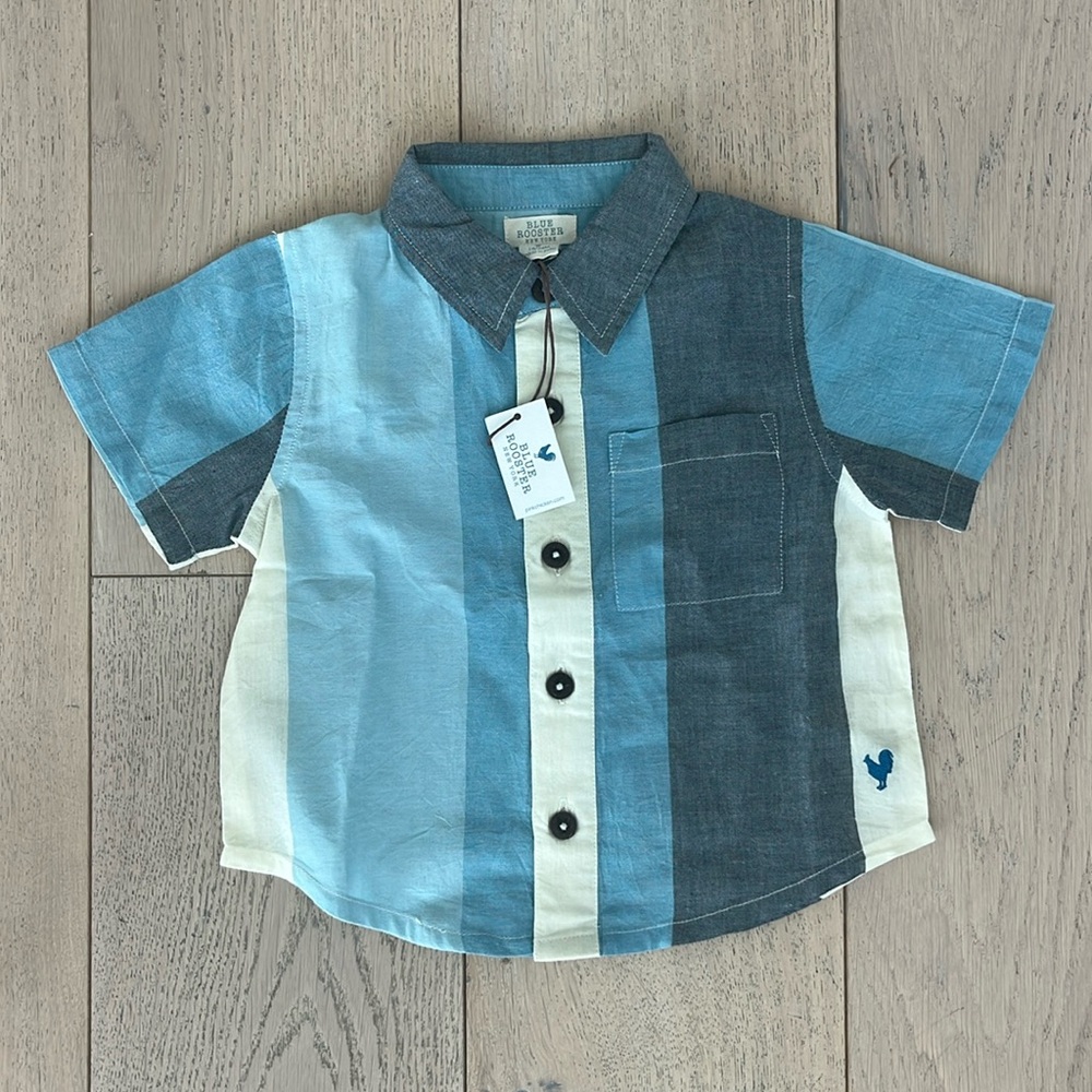 Blue Rooster Button Down